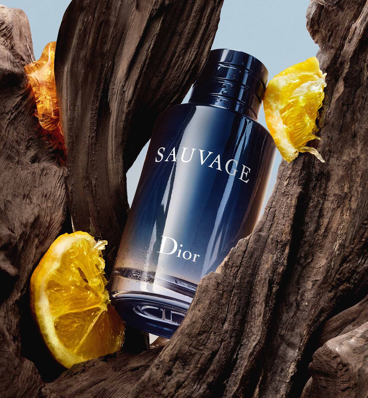 Dior Sauvage Perfume